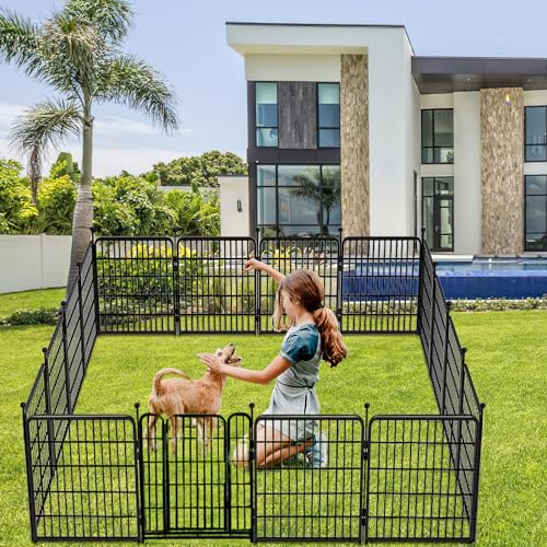 Garden Fences with Gate