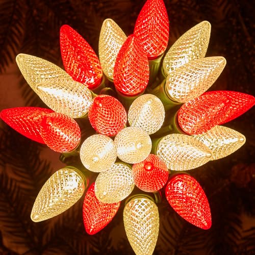 Outdoor Christmas Lights (50 Count)