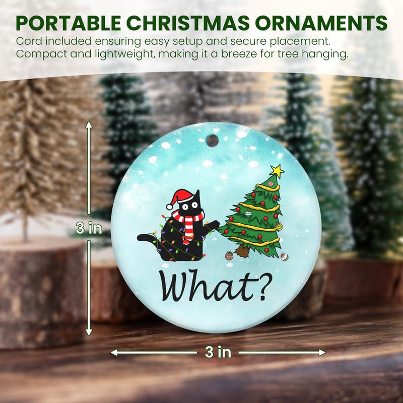 Christmas Funny Black Cat Gifts for Women Men
