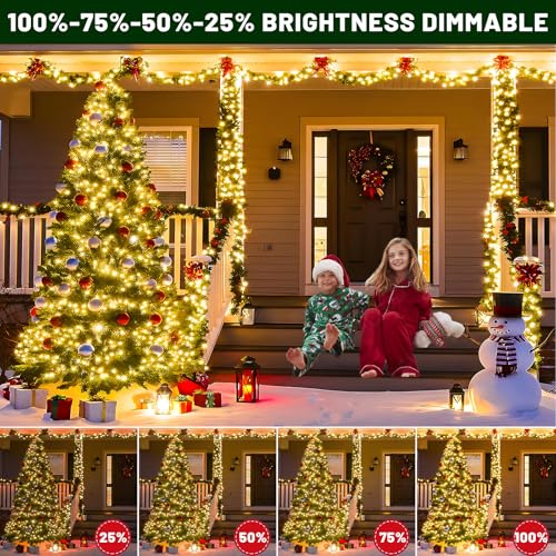 100FT 300 LED Color Changing Christmas Lights