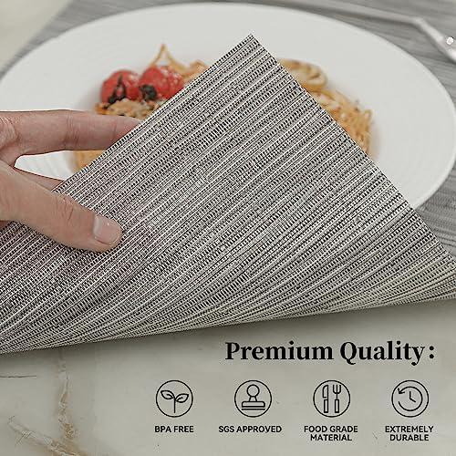 Silver Placemats Set of 8 (8 Count)