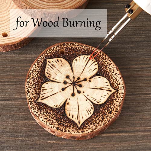 Unfinished Natural Wooden Slices 80 Pcs 3.2 (80 Count)