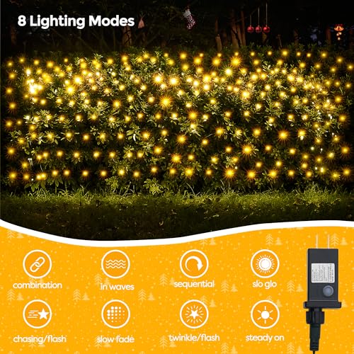 Outdoor Christmas Lights