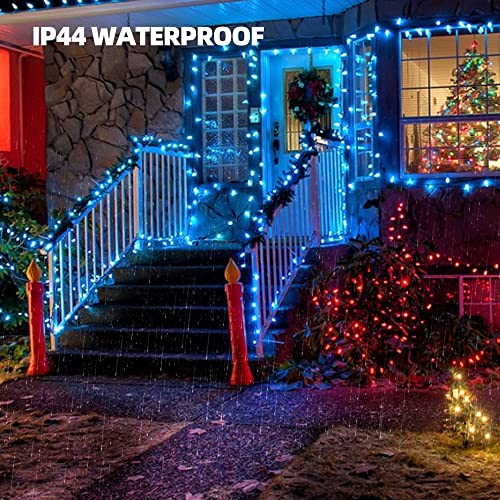 Red Christmas Lights (21 Foot)