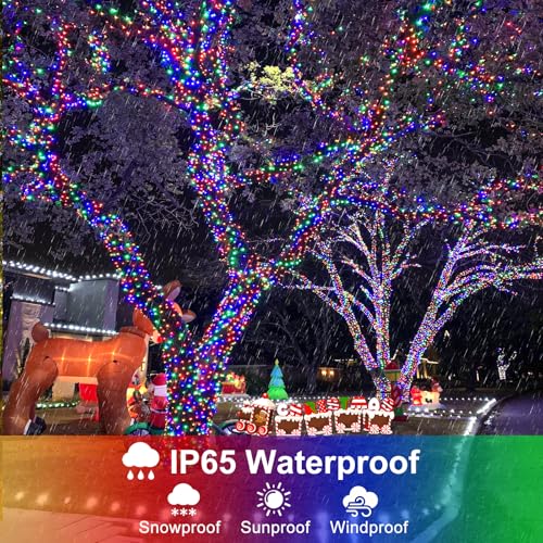 2 Pack Christmas Lights Outdoor