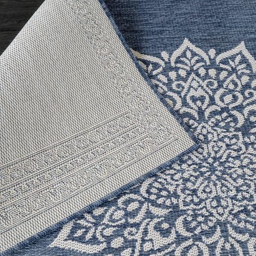 Outdoor Rug 8x10 Medallion Blue Modern Area Rugs for Indoor and Outdoor Patios Kitchen and Hallway Mats Washable Porch Deck Outside Carpet (80 Sq Ft)
