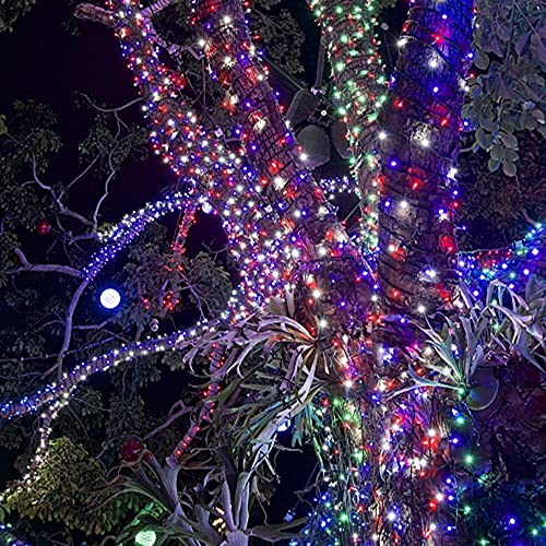 200 LED 66FT Fairy String Lights (66 Feet)