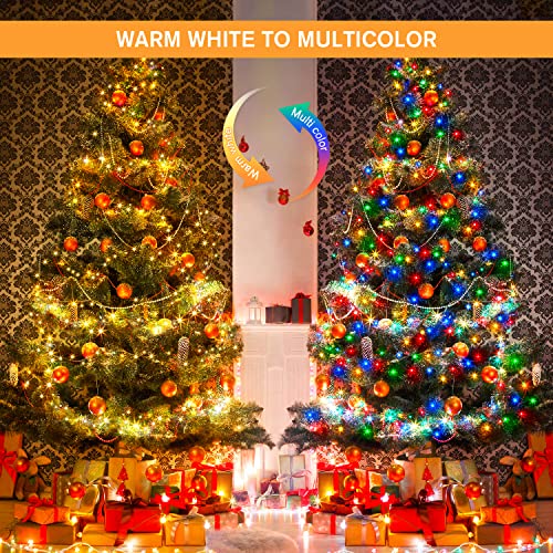 500 LED Color Changing Christmas Lights (163 Foot)