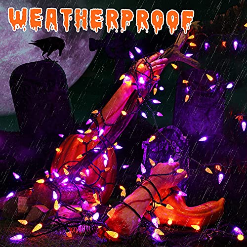 Purple & Orange Halloween Lights Outdoor