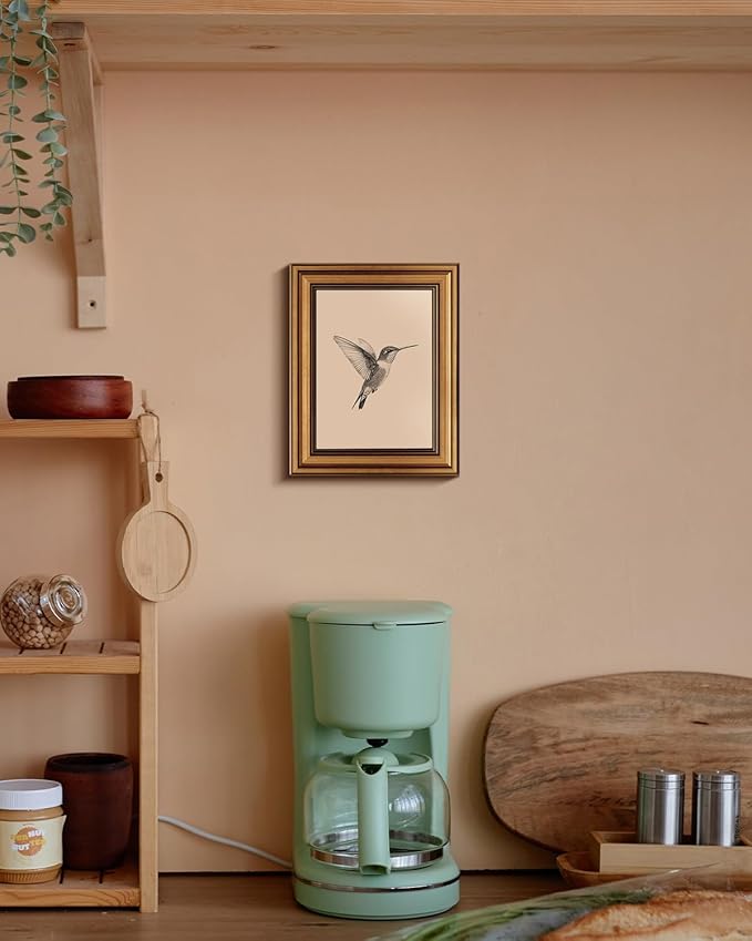 VIYYIEA Vintage Gold Framed Wall Art for Living Room, Birds Canvas Prints Home Decor, Sketch Painting Picture, Bedroom Wall Decor Gifts for Friends or Family -【Hummingbird】-(10L x 8W)