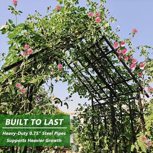 Metal Garden Arch Arbor Trellis Climbing Plants Outdoor Black Flat Top or Arch