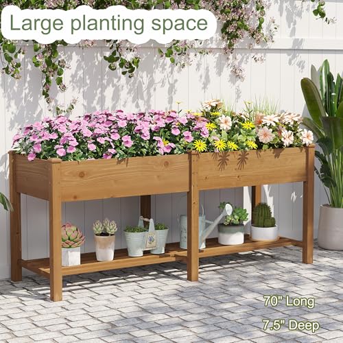 Raised Garden Bed with Shelf