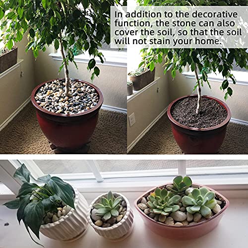 45lb Polished Pebbles for Plants Potting