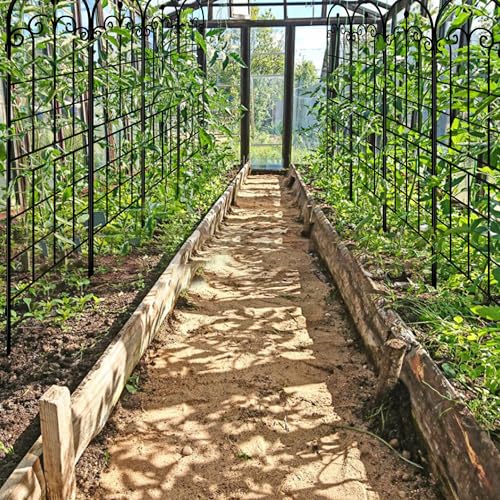 71x80in Rustic Iron Arch Decoration Garden Trellis with Black Metal Coating