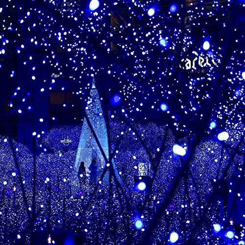 Solar Christmas Lights Outdoor (2 Count)