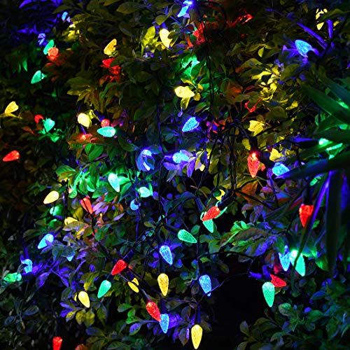 2 Pack Solar Christmas Lights Outdoor C6 Strawberry String Lights (2 Count)