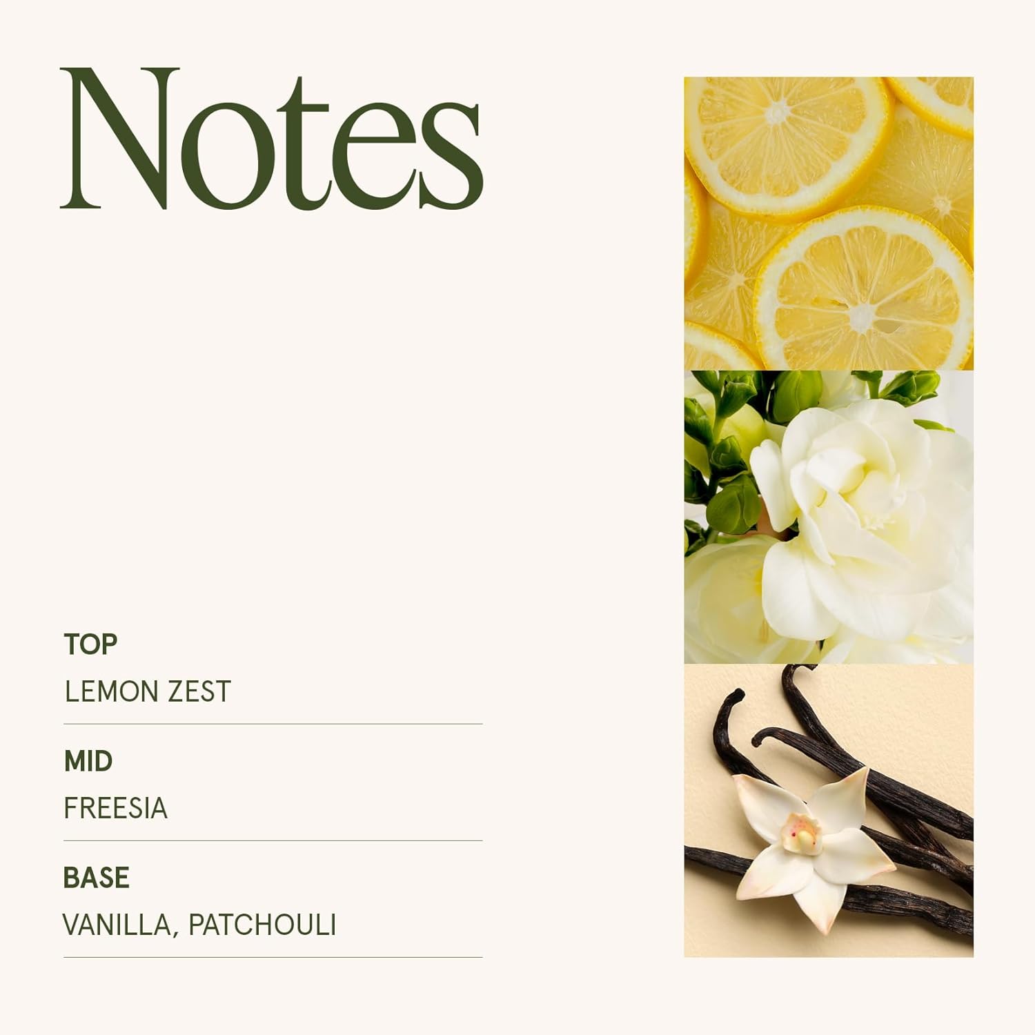 LA JOLIE MUSE Fall Candle | Vanilla Bomb Candle –Vanilla, Lemon Zest & Patchouli |19 oz Large Wooden Wick | Natural Soy Wax | 90 Hours Clean Burn | Gift-Ready for Autumn Hosting | Seasonal Home Décor - NestledHome