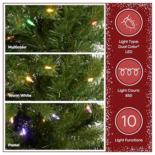 12ft Pre Lit Downswept Douglas Fir Slim Christmas