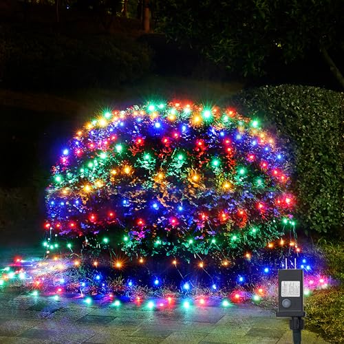 Christmas Lights Outdoor