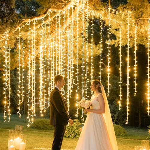 Warm White Christmas String Lights (33 Foot)