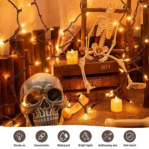 13FT 50 Clear Christmas Lights Outdoor Warm White Lights Brown Wire (50 Count)