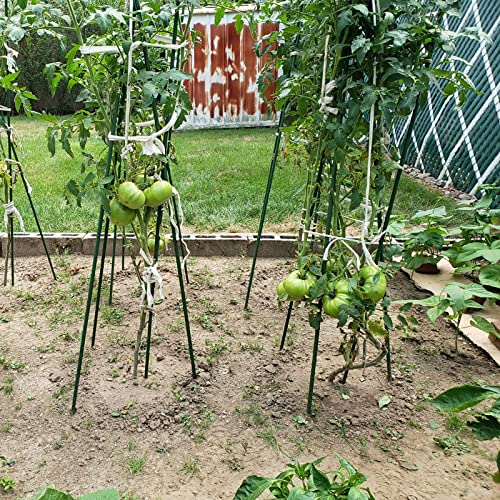 Garden Plant Stakes (25 Count)