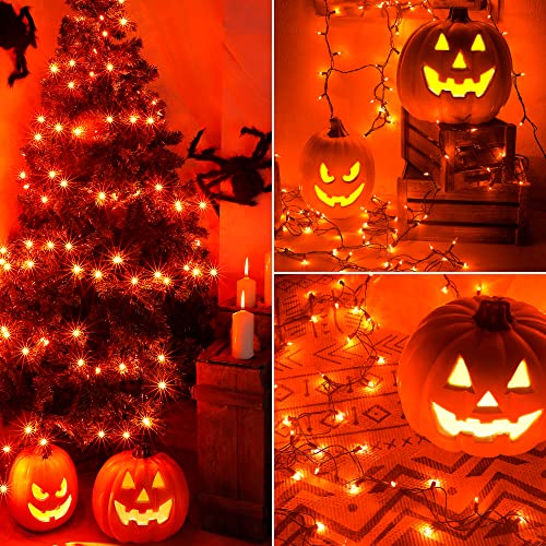 Orange Halloween Mini String Lights (13 Foot)