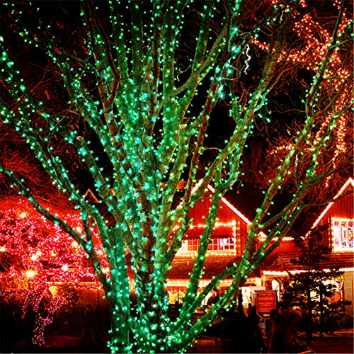 200 LED 66FT Christmas String Lights (66 Feet)
