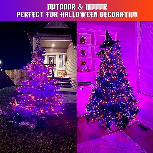 2 Pack Orange Purple Battery Operated Halloween Lights (100 Count)