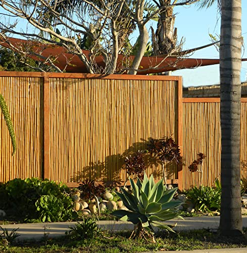 Natural Bamboo Fencing Decorative Rolled Fence Panel 0.75 in D x 3 ft H x 8 ft L (24 Sq Ft)