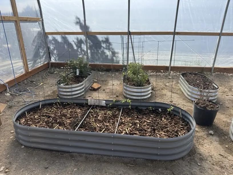 6 Pack 8x3x1FT Galvanized Raised Garden Bed Kit Oval Metal Ground Planter Box Outdoor Bottomless Planter Raised Beds for Vegetables Flowers Herbs Fruits