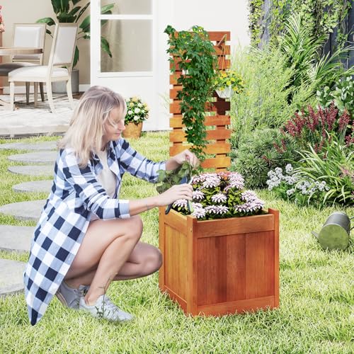 Raised Garden Bed with Trellis & Open