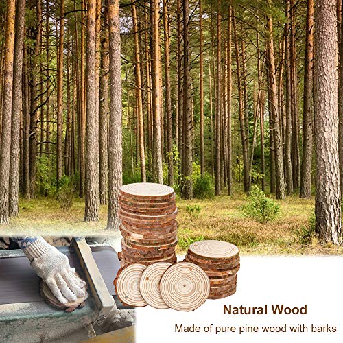 2.4 2.8IN Natural Wood Slices with Jute Twine for DIY Ornaments (50 Count)