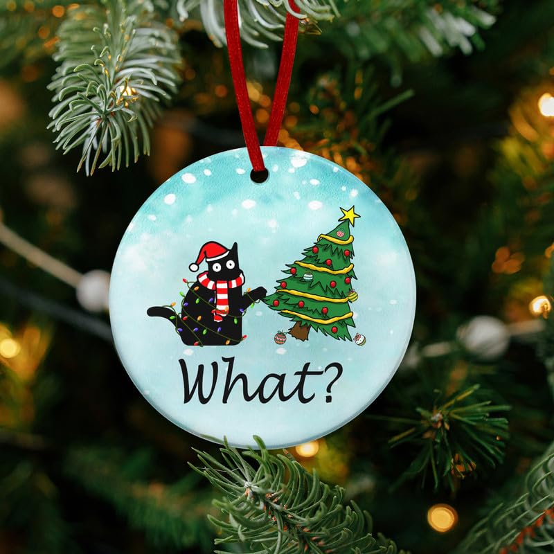 Christmas Funny Black Cat Gifts for Women Men