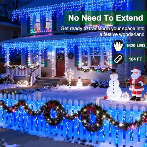 1620 LED 164FT Christmas Lights (164 Foot)