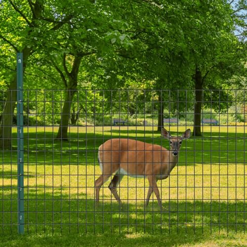 Welded Wire Fence