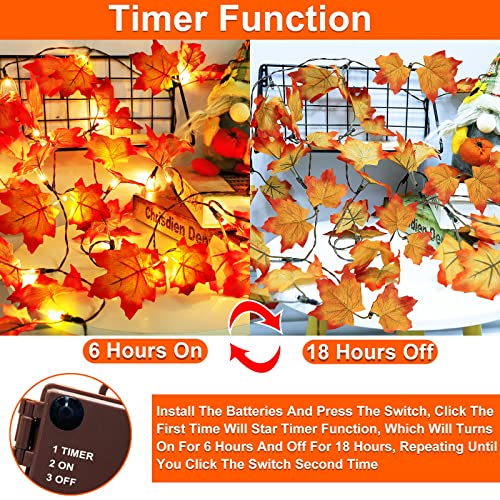 Timer & Thicker Leaves (13 Foot)