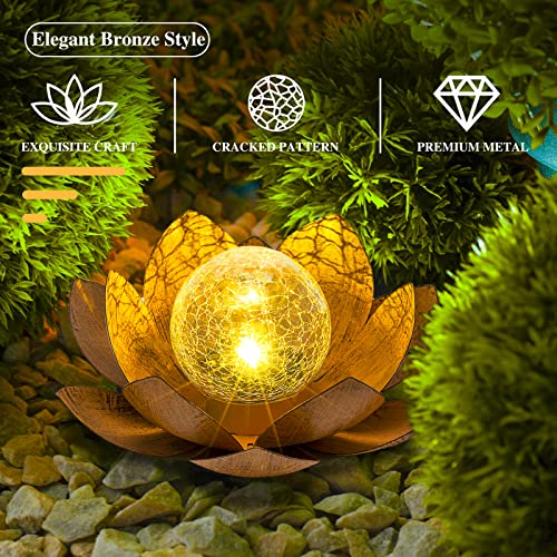 Solar Light Outdoor (2 Count)