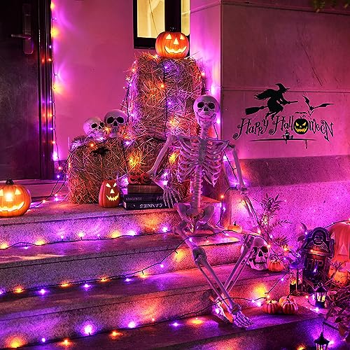 66ft 200 LEDOrange and Purple Halloween String Lights