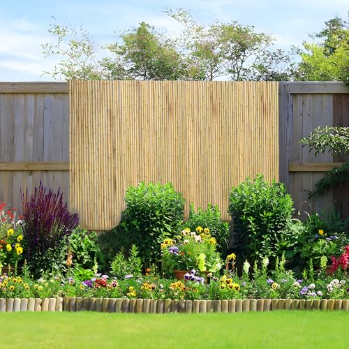 Natural Rolled Bamboo Fence (48 Sq Ft)