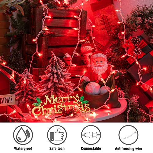 Red Christmas Lights (26 Foot)