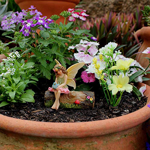 Fairy Garden Accessories Outdoor