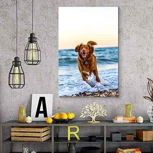 Custom Canvas Prints with Your Photos for Pet