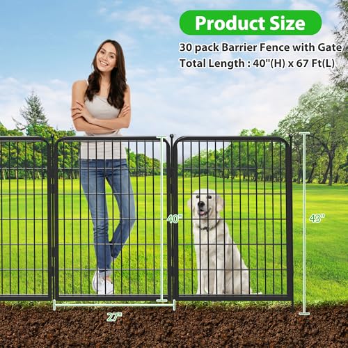 Decorative Black Metal Fencing Garden Fence with Gate
