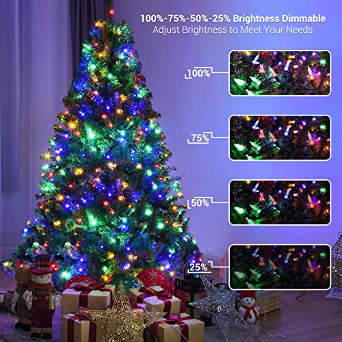 Christmas Lights