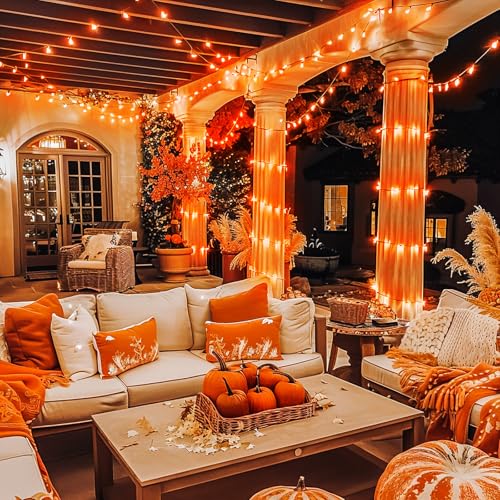 600 LED Halloween Lights Outdoor (168 Foot)