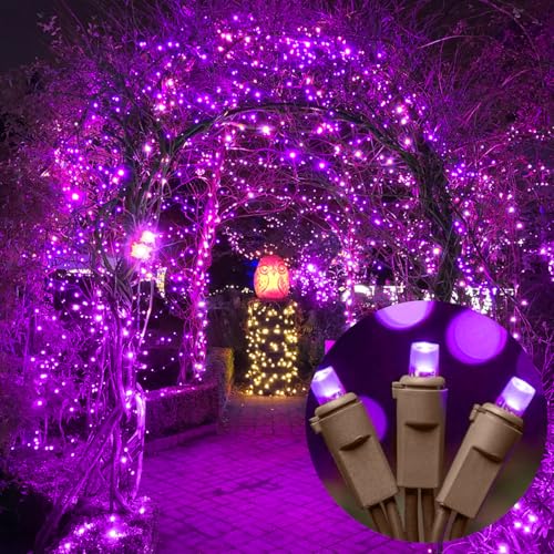 Purple Halloween Lights (100 Count)