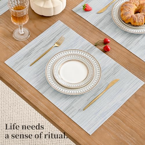 LightSteel Blue Placemats Set of 6 (6 Count)