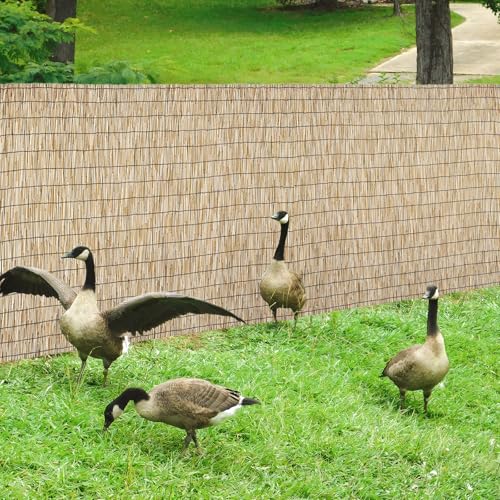 Natural 6FT X16.4FT Reed Fencing Roll Bamboo Privacy Fence Screen
