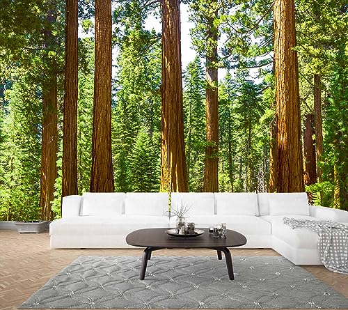 Redwood Forest Wallpaper Green Woodland Tree Wall Mural for Bedroom